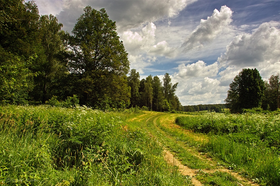 Фото жизнь