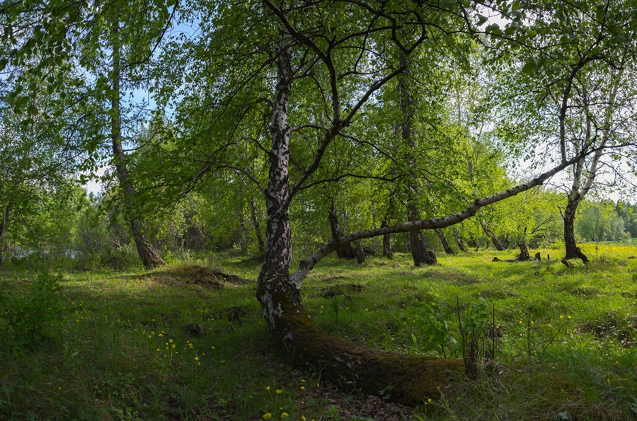 Фото жизнь
