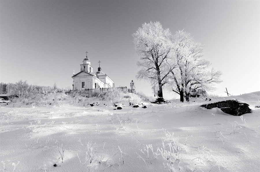 Фото жизнь