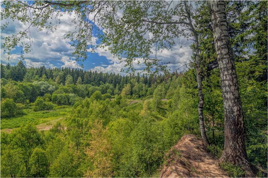 Фото жизнь