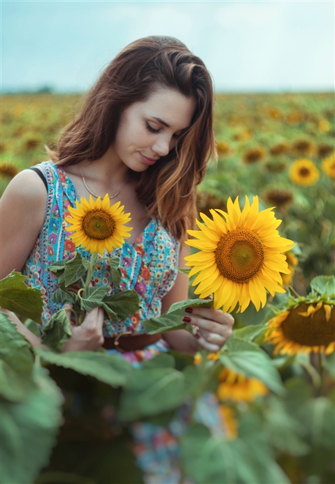 подсолнухи и барышня