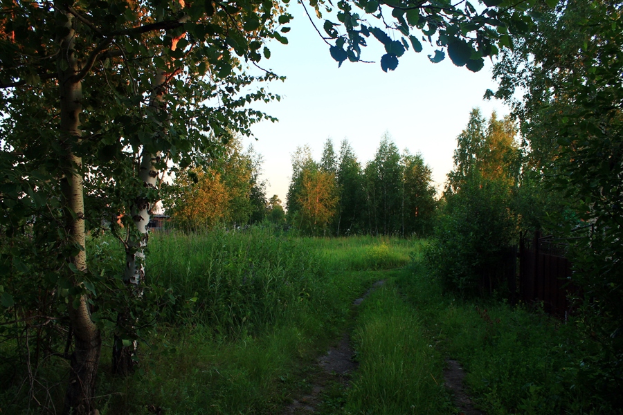 Фото жизнь