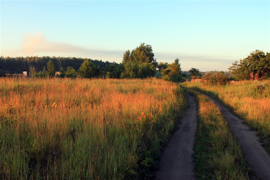 Фото жизнь