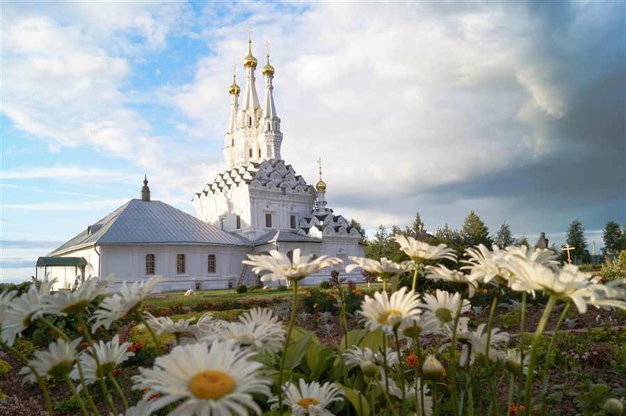 Фото жизнь