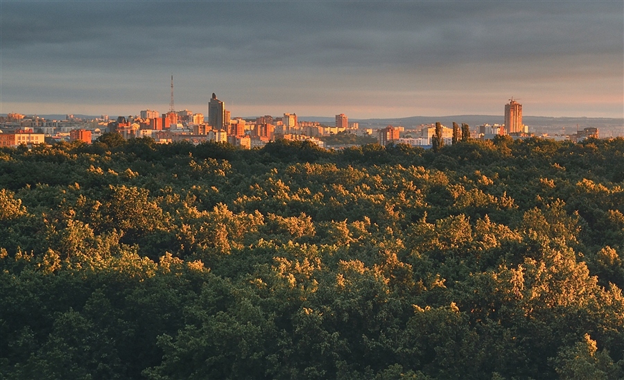 Фото жизнь