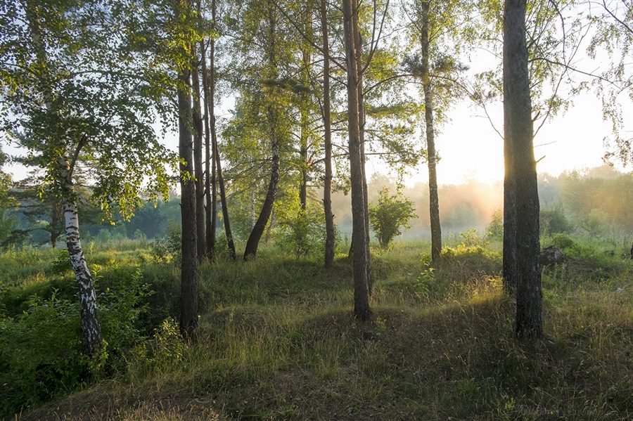Фото жизнь