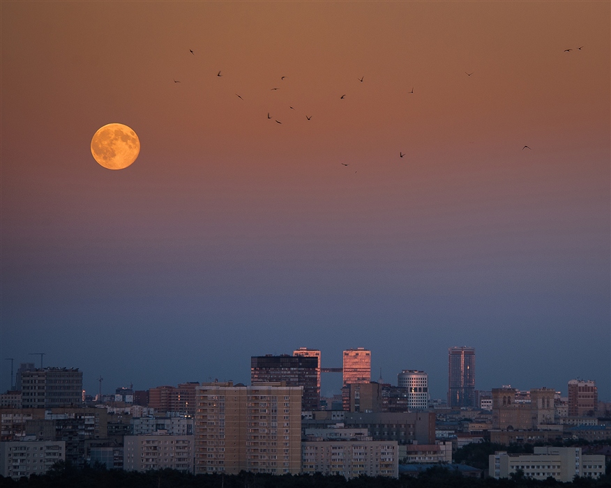 Фото жизнь