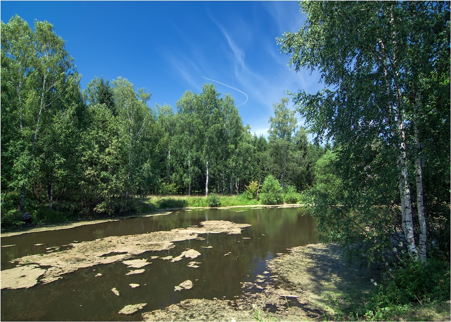 Фото жизнь