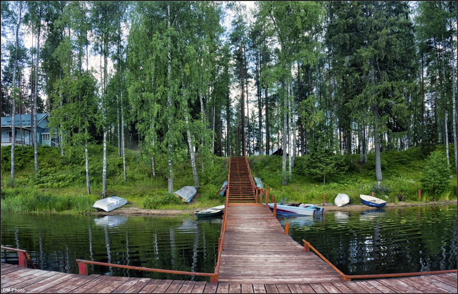 Фото жизнь