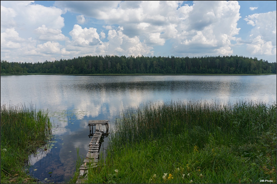 Фото жизнь