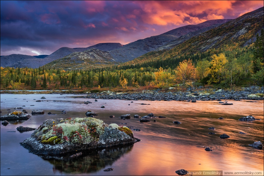 Фото жизнь