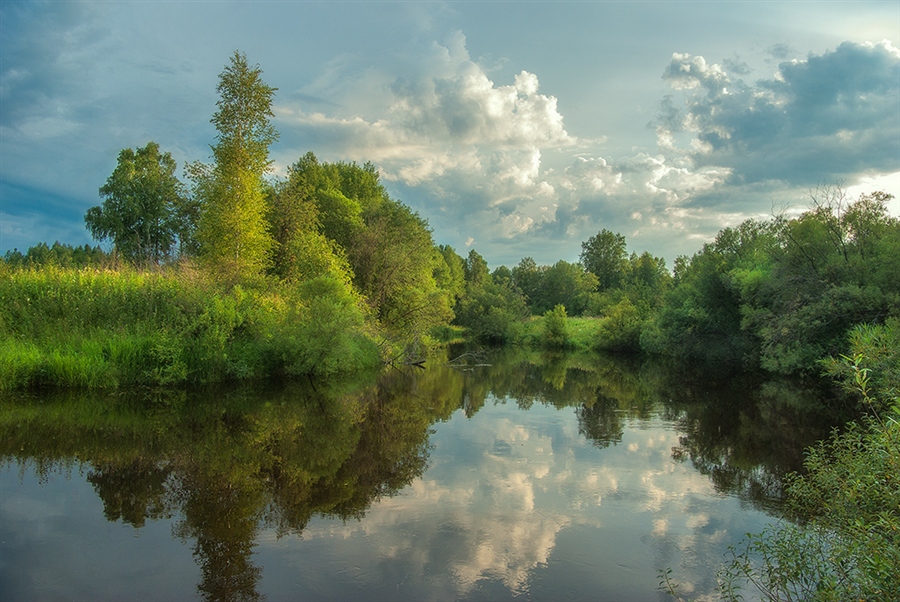 Фото жизнь