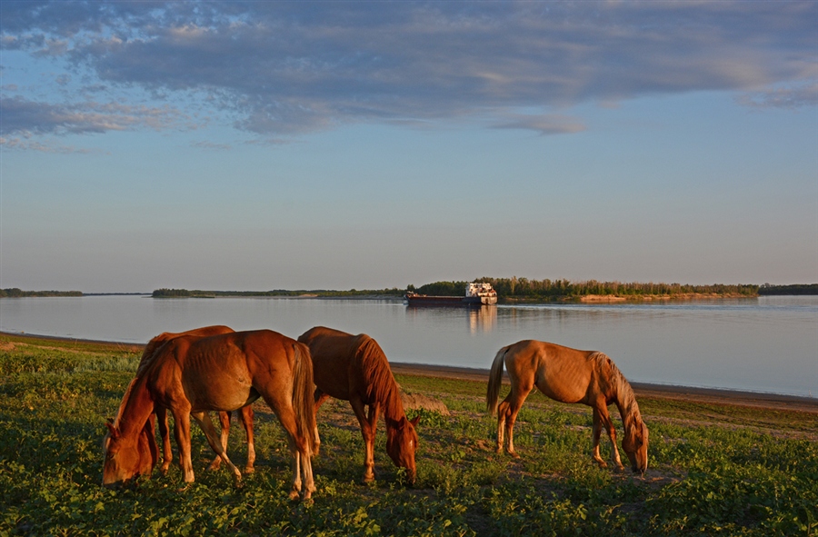 Фото жизнь