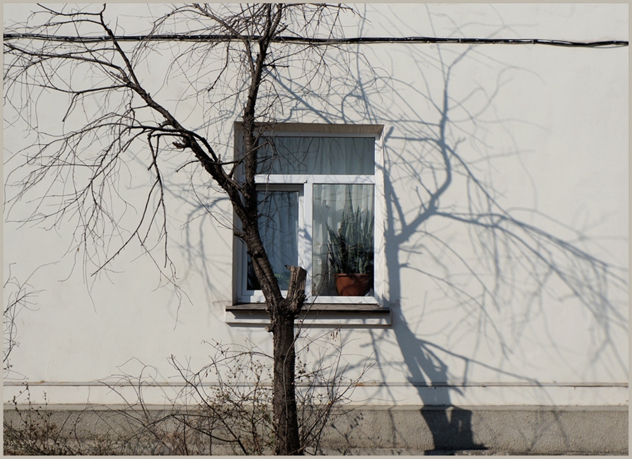 Фото жизнь
