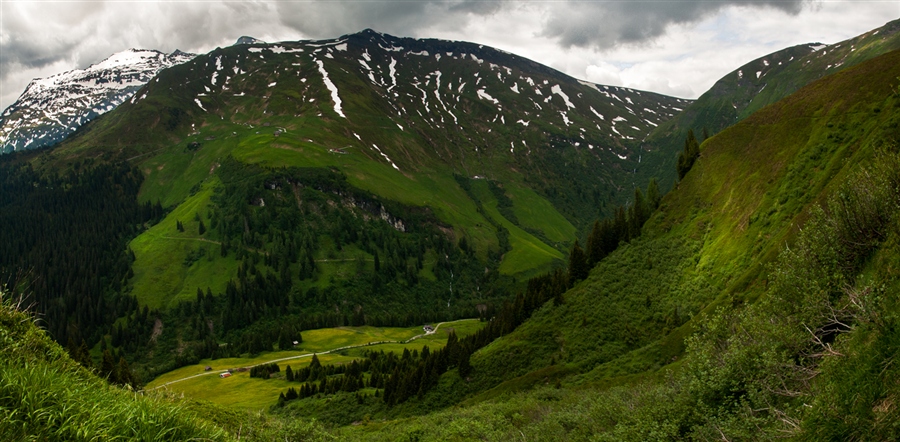 Фото жизнь