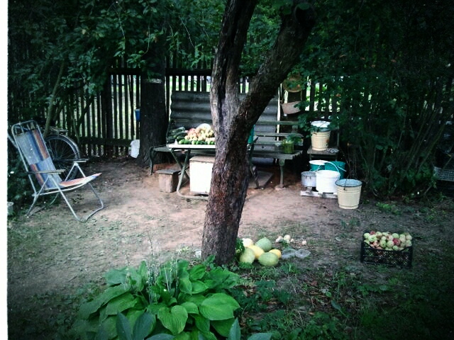 Фото жизнь (light) - serenata - корневой каталог - *