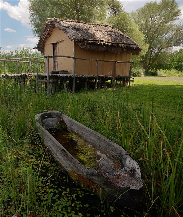 Фото жизнь