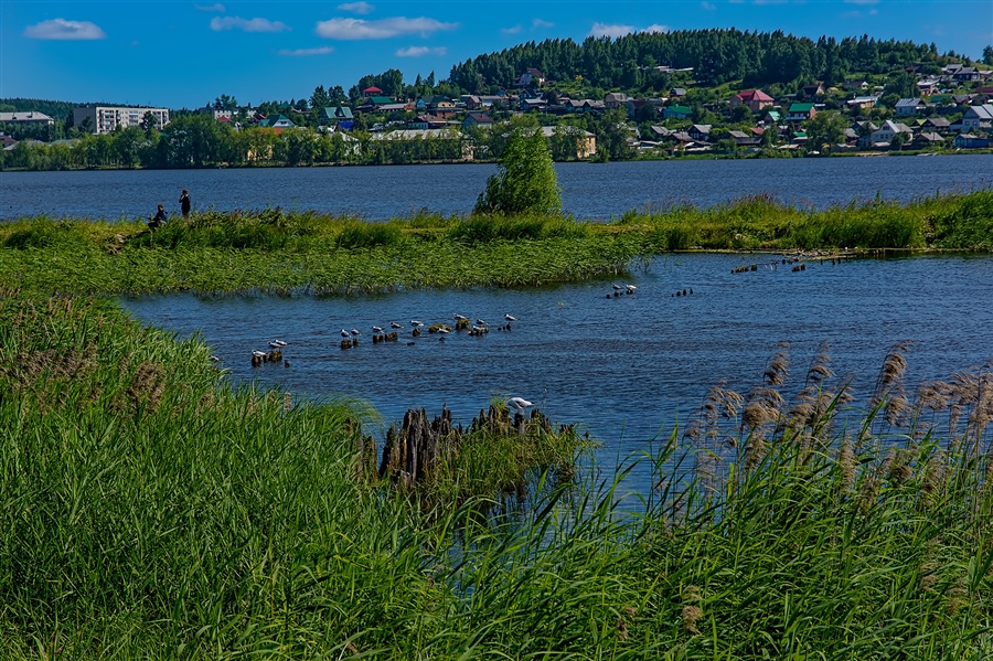 Фото жизнь