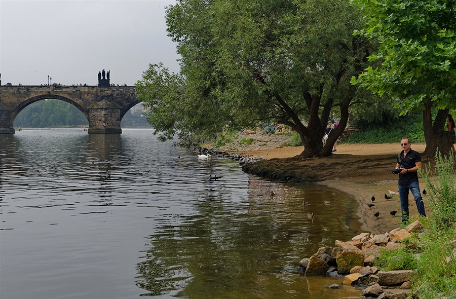 Фото жизнь