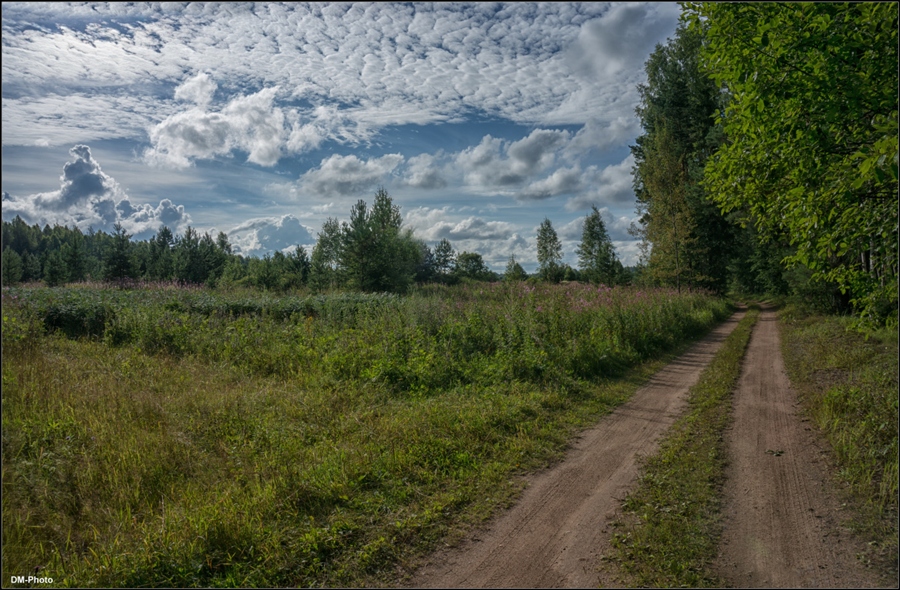 Фото жизнь