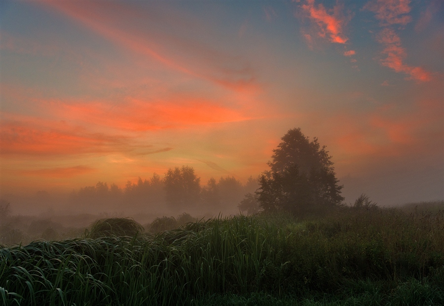 Фото жизнь