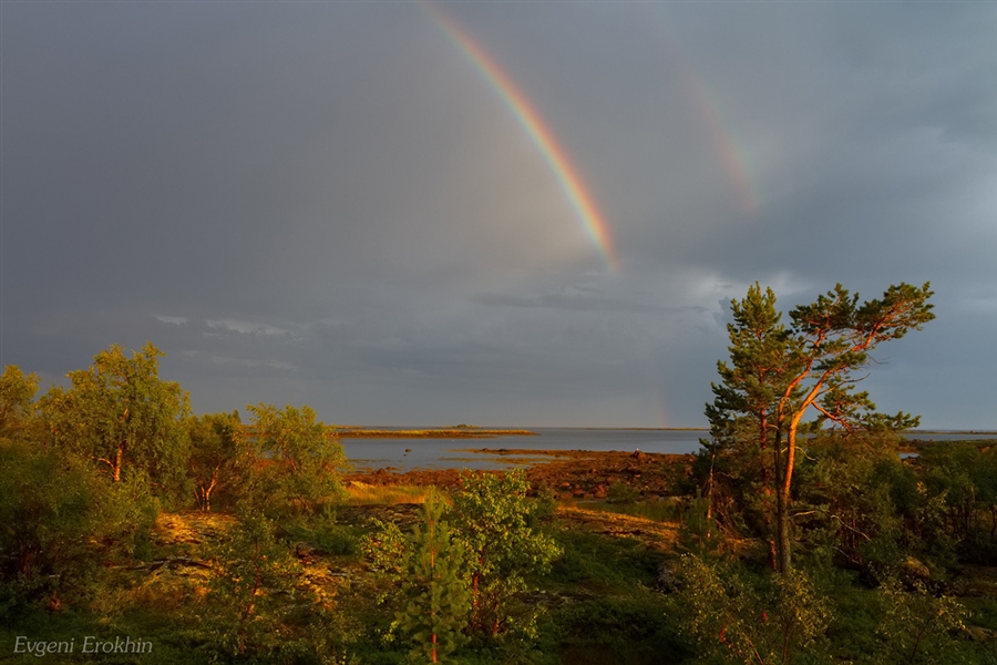 Фото жизнь