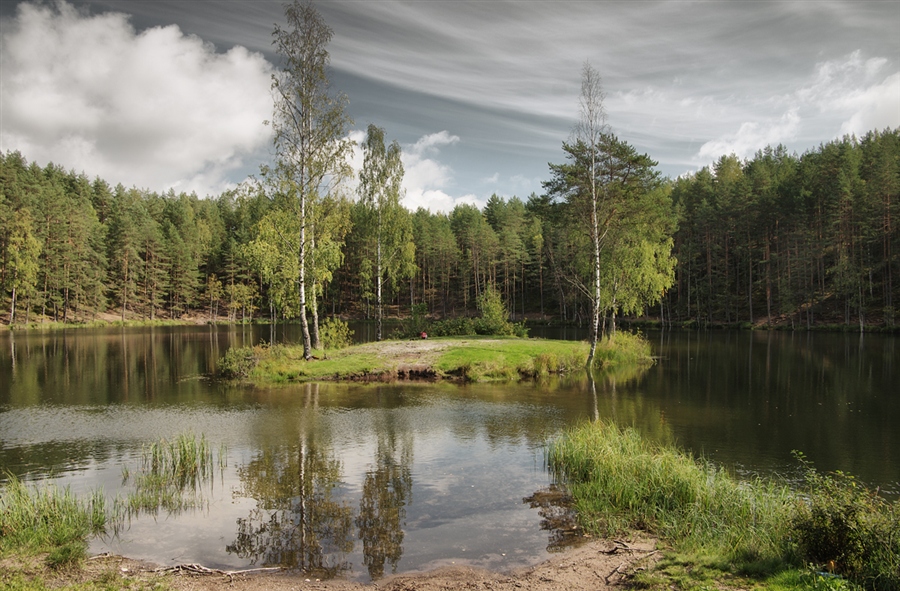 Фото жизнь