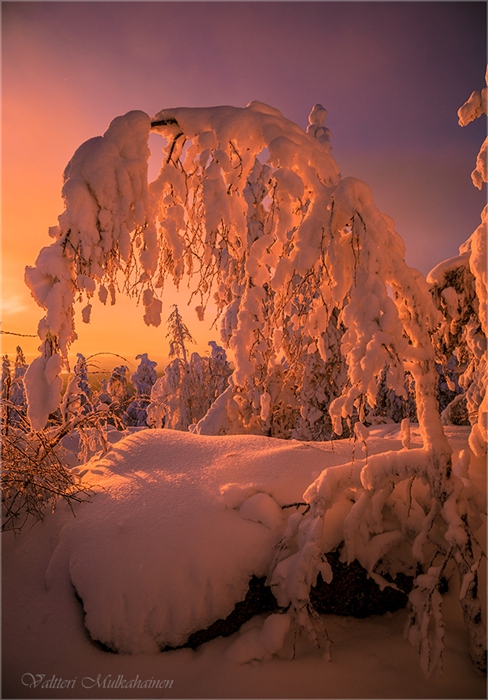 Фото жизнь