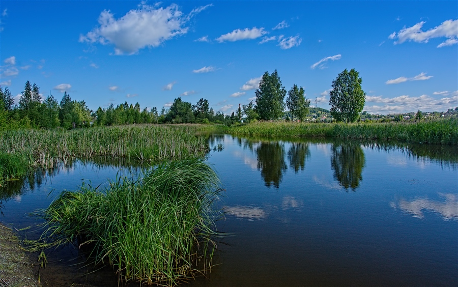 Фото жизнь