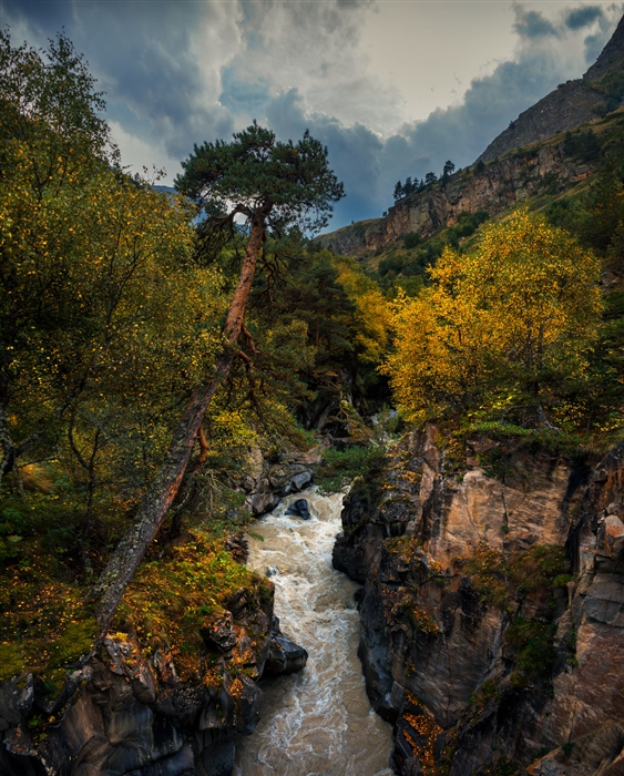 Фото жизнь