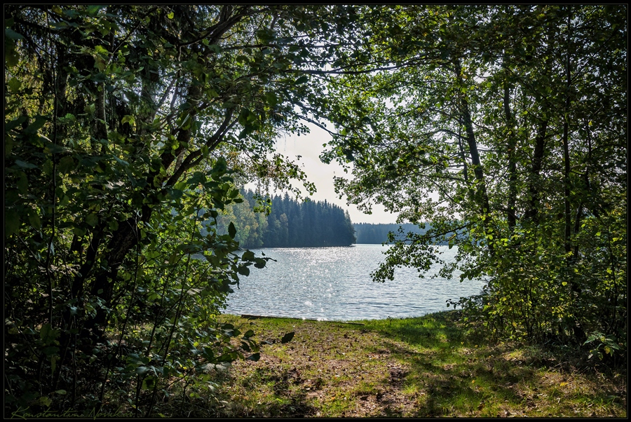 Фото жизнь