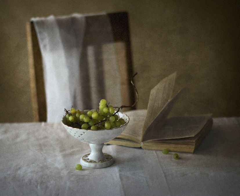 Фото жизнь (light) - Lilliya - корневой каталог - С виноградом... и книгой...