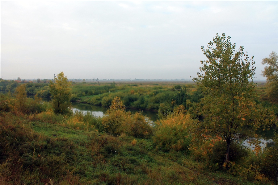 Фото жизнь