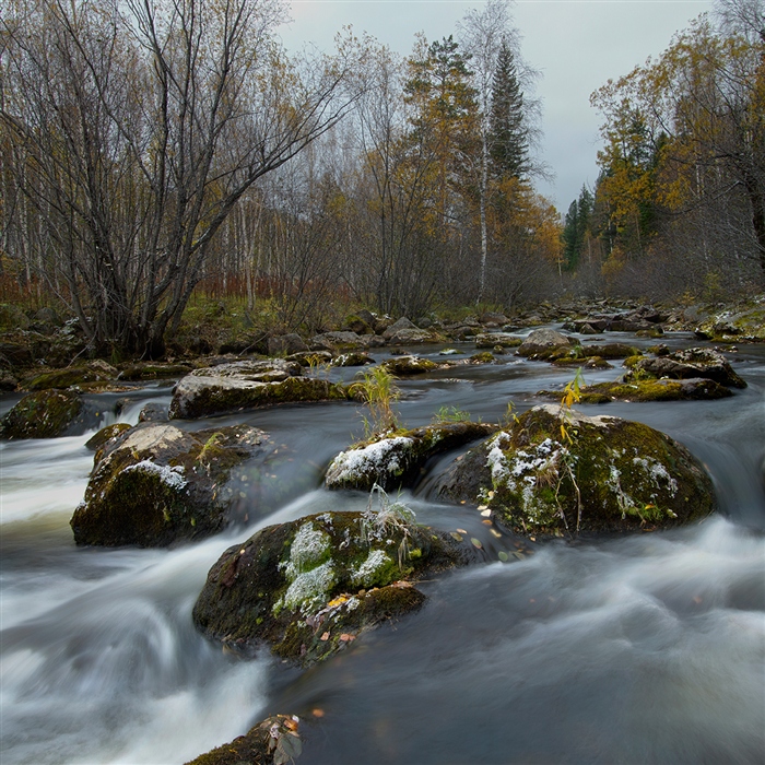 Фото жизнь