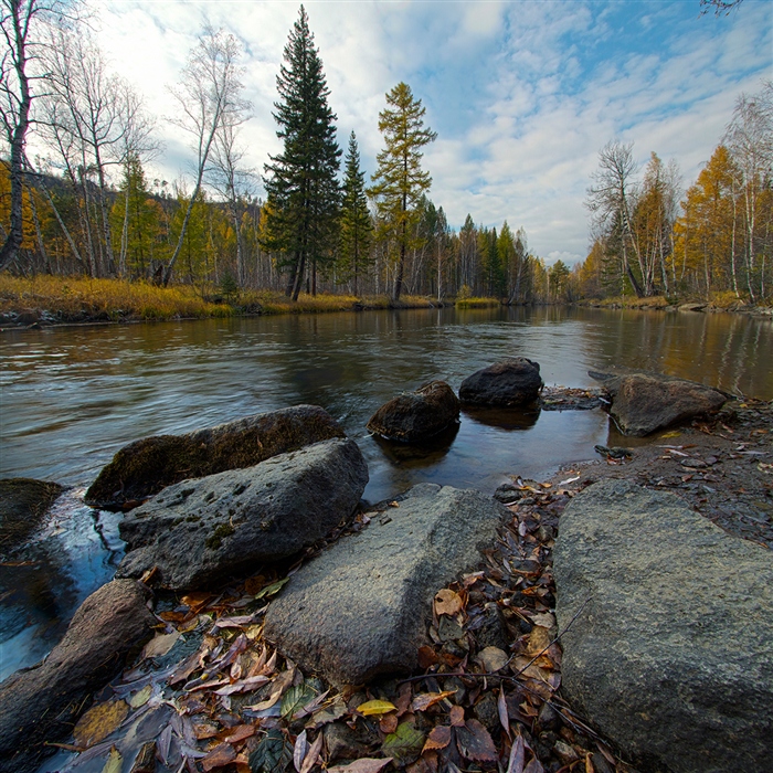 Фото жизнь