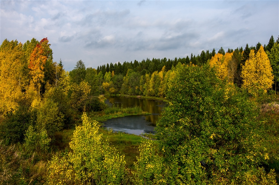 Фото жизнь