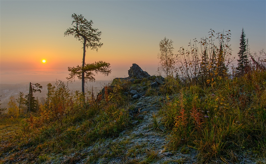 Фото жизнь