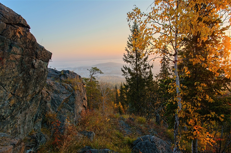 Фото жизнь