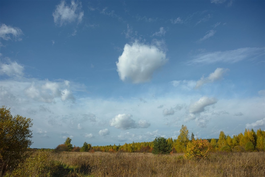 Фото жизнь