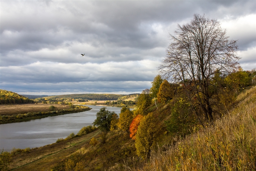 Фото жизнь