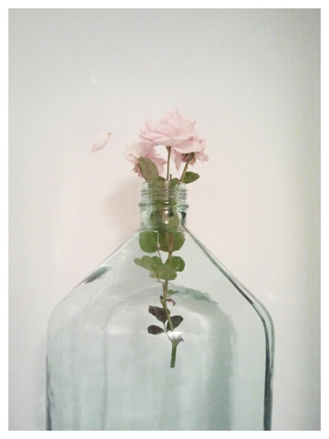 Фото жизнь (light) - serenata - корневой каталог - *