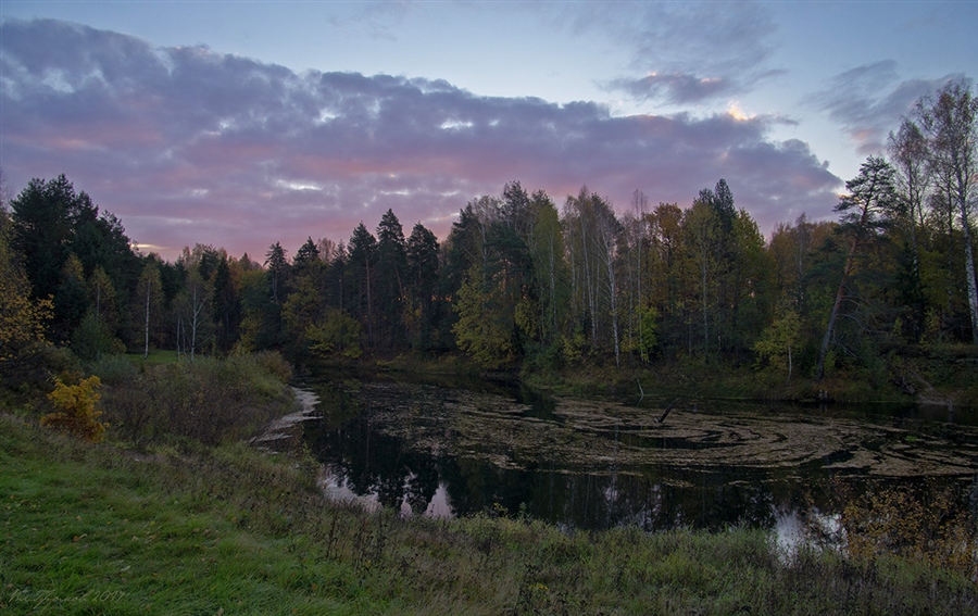 Фото жизнь
