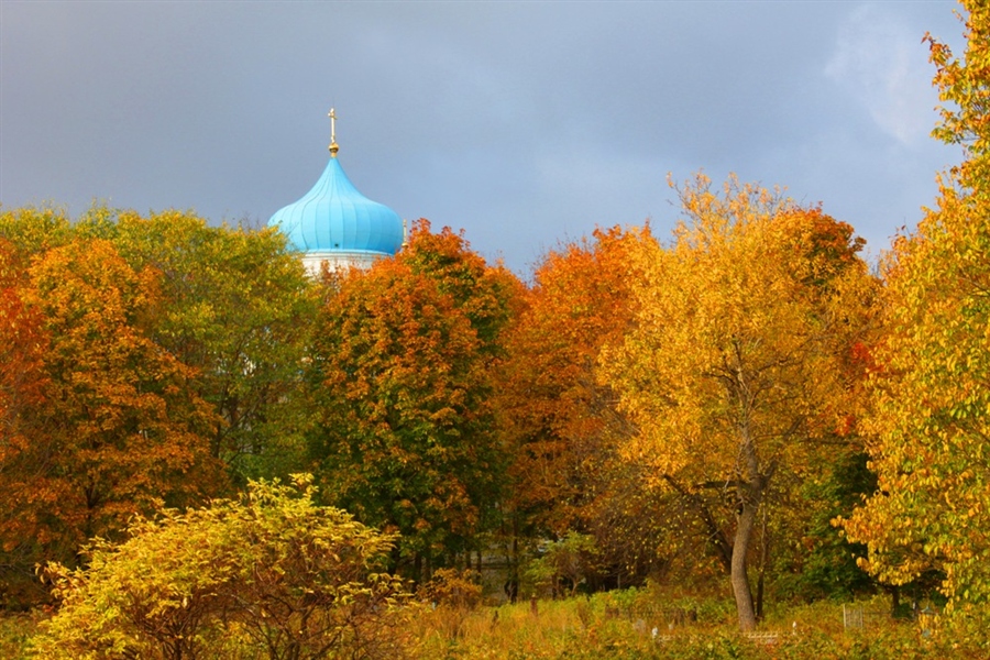 Фото жизнь