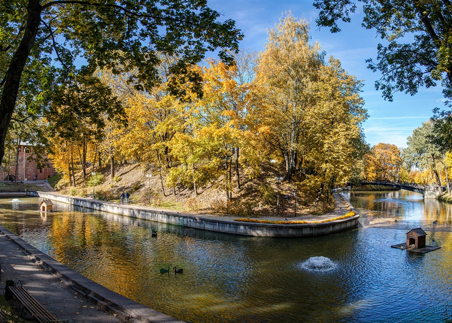 Фото жизнь