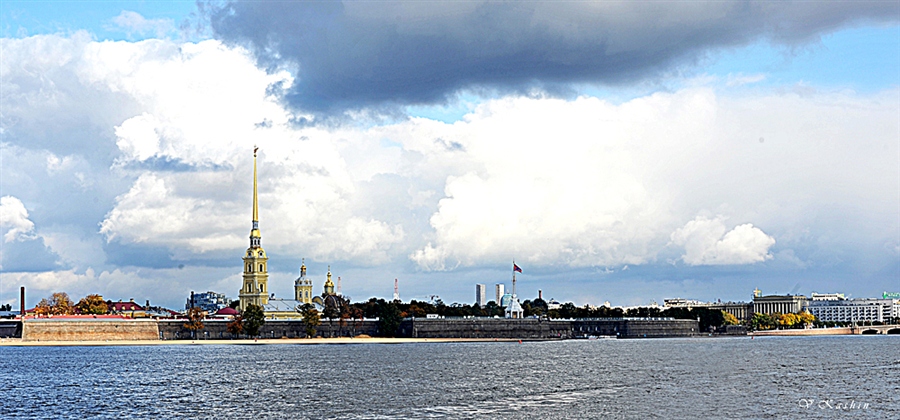 Фото жизнь
