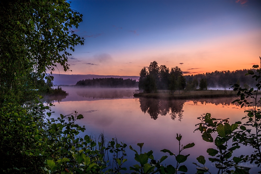 Фото жизнь