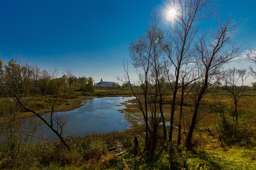 Фото жизнь