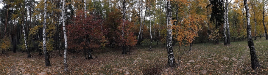 Фото жизнь