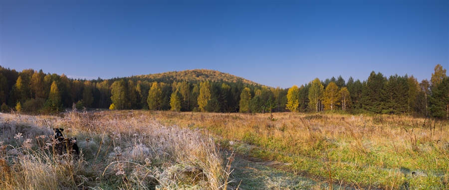 Фото жизнь