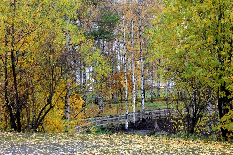 Фото жизнь